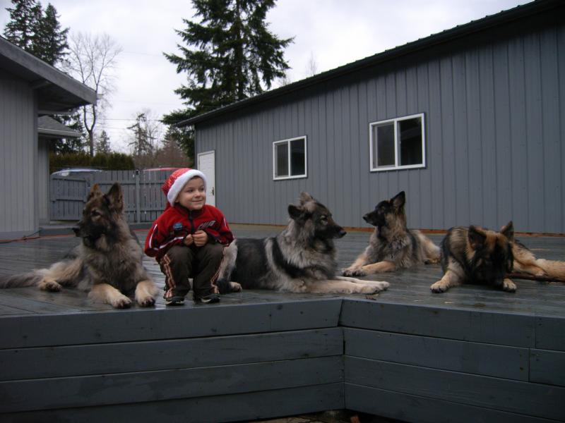 Christmas Kai and his Shilohs