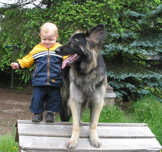 Kai and Bear on Doghouse