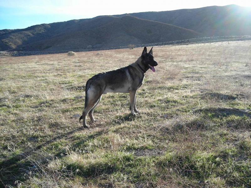 Max